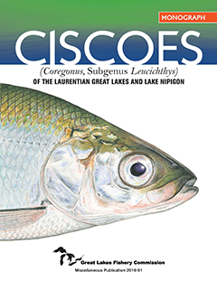 Image of the cover of the Ciscoes Monogram featuring a large image of the head of a cisco.
